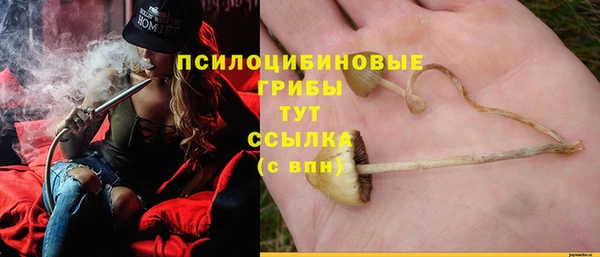 PSILOCYBIN Абинск