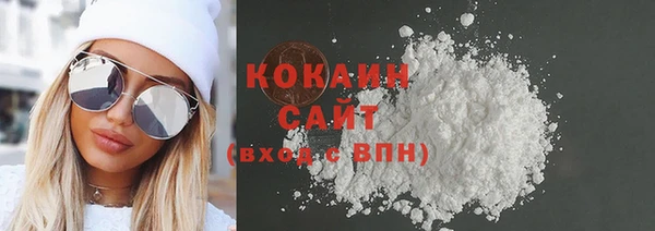 сатива Абаза