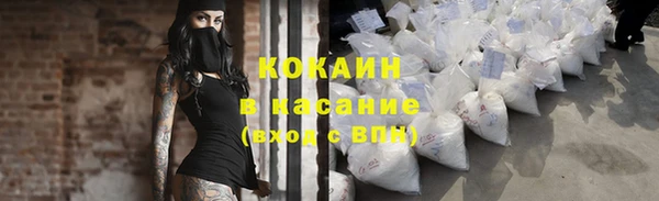 сатива Абаза
