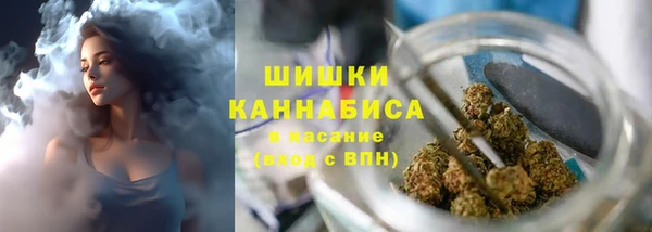 сатива Абаза
