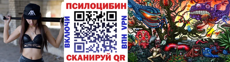 Галлюциногенные грибы мухоморы  KRAKEN ССЫЛКА  Отрадная 